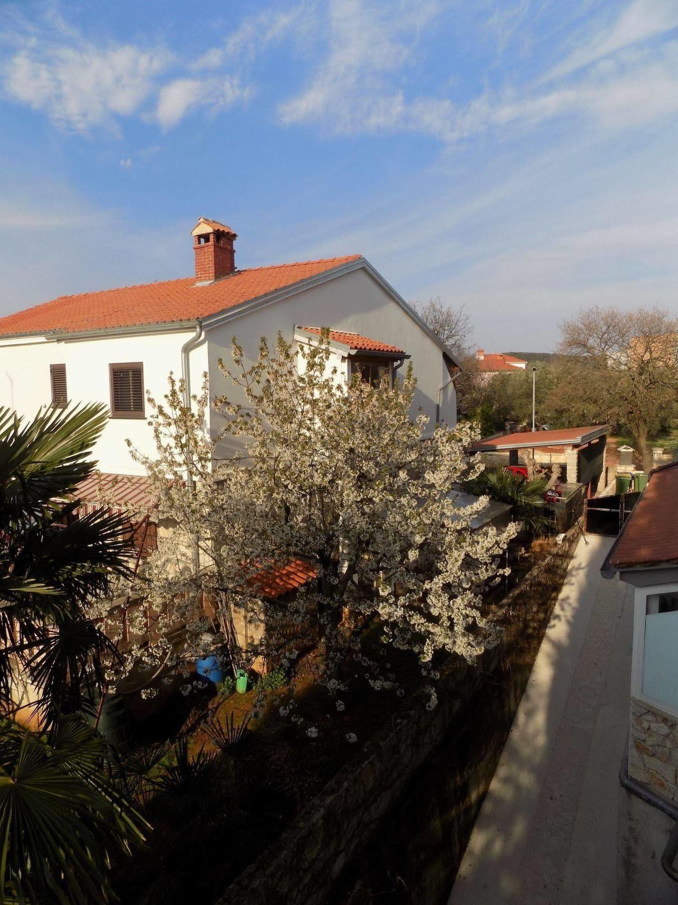 Rooms And Apartment Feral Rovinj Dış mekan fotoğraf